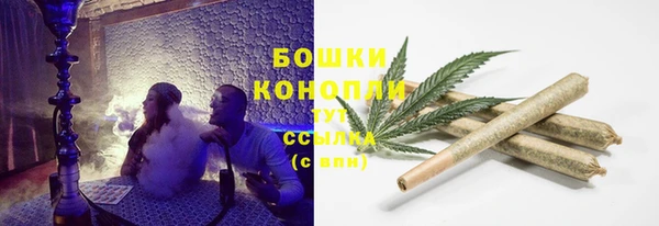 ECSTASY Зеленодольск