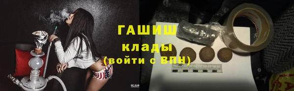 эйфоретик Ельня